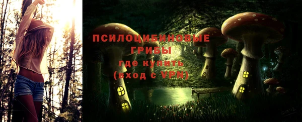 трава Армянск