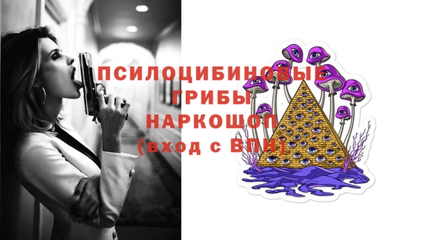 эйфоретик Арсеньев