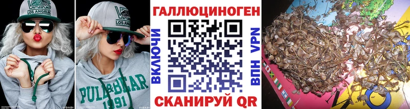 Псилоцибиновые грибы Psilocybine cubensis  где можно купить   Магадан 
