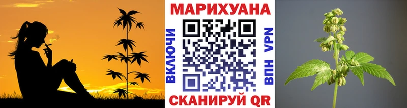 Шишки марихуана тримм  Магадан 